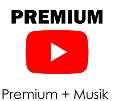 Youtube premium monate gebraucht kaufen  Aukrug