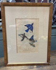 Audubon 1st octavo for sale  Cullowhee