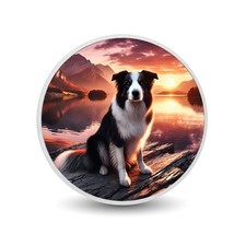 border collie d'occasion  Expédié en Belgium