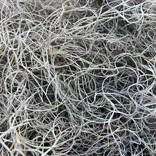 MUSGO ESPANHOL 10 lb PLANTA DE AR FRESCO VIVO PARA CULTIVO, ARTESANATO E ARRANJOS FLORAIS, usado comprar usado  Enviando para Brazil