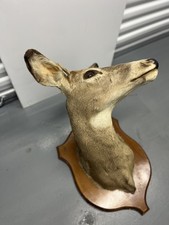 Vintage 1971 deer for sale  Brooklyn