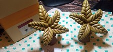 Meravigliosa coppia palme usato  Trabia