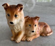 Vintage collie puppies for sale  Hendersonville