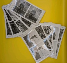 Vivascope stereoscope cards for sale  NEWCASTLE UPON TYNE