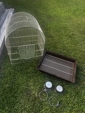 Meduim large bird for sale  Ellisville