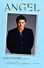 Angel Scriptbook Volume 1 (Buffy the Vampire Slayer) - SC 1st PRINT 2006 - NM comprar usado  Enviando para Brazil