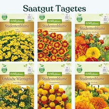 Tagetes studentenblume saatgut gebraucht kaufen  Laatzen