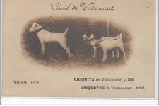 Vadancourt kennel d'occasion  Expédié en Belgium