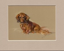 Lucy dawson long for sale  SPALDING