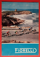 Catalogo biciclette fiorelli usato  Pistoia