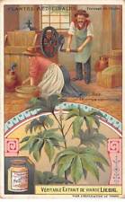 Chromos.am13296.liebig.plantes d'occasion  France
