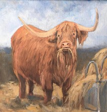 cow canvas painting for sale cow canvas painting for sale Centerburg