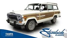 1988 jeep wagoneer for sale  Lutz