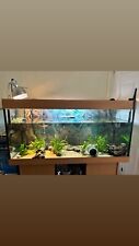 240l juwel tank for sale  SUTTON COLDFIELD