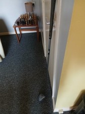 King cobra titanium for sale King cobra titanium for sale  DYMOCK