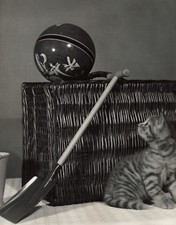Gato A Ballon, Secuela De 6 Grandes Marco Vintage By Spillman&ramsay Circa 1955 comprar usado  Enviando para Brazil