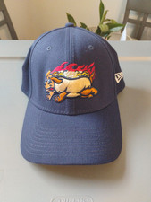 red cap sox for sale  Albion