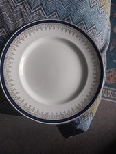 Handsome myott dinner for sale  LONDON