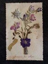 Souvenir alpes dried d'occasion  Expédié en Belgium