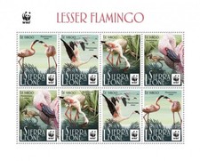 Usado, Folha de carimbo LESSER FLAMINGO Wading Birds MNH 8v WWF #3 (2017 Serra Leoa) comprar usado  Enviando para Brazil