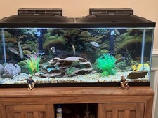 Includes everything gal. for sale  Yorkville