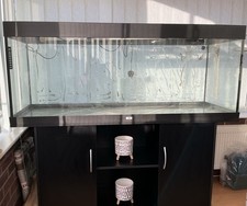 Juwel 450l 5ft for sale  BOSTON
