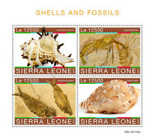 Sierra leone 2019 for sale  TRURO