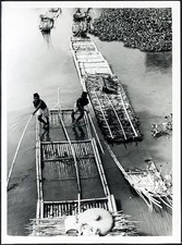 Vintage barche bambù usato Vintage barche bambù usato  Roma