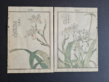 Antique 1890 japanese for sale  ROMFORD