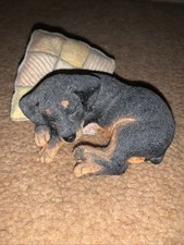doberman puppies for sale doberman puppies for sale SOUTHMINSTER
