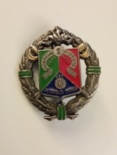Insigne identifier legion d'occasion  Orleans-
