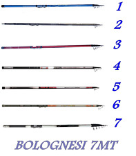Canna bolognese 7mt usato  Amelia