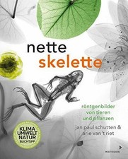 Nette skelette röntgenbilder gebraucht kaufen  Stuttgart