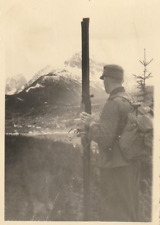 Foto deutscher gebirgsjäger gebraucht kaufen  Rees