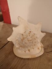 Strombus geant aliger d'occasion  Maillezais