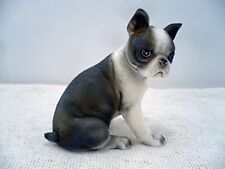 French bulldog boston for sale  Broadway