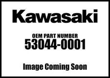 Kawasaki 2003 2020 for sale  Odessa