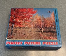 Vintage jigsaw perfect for sale  Spotsylvania