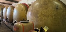 Gfk weintank transporttank gebraucht kaufen  Argenthal