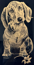 Adorable dachshund puppy for sale  Saint Petersburg