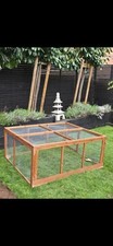 Rabbit guinea pig for sale  NOTTINGHAM