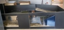 Meerschweinchen gehege stall gebraucht kaufen  Wiesbaden