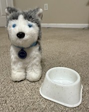 Pepper husky dog for sale  Leesburg