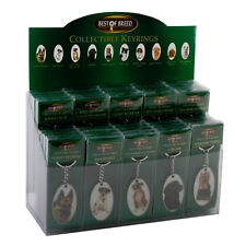 bull terrier keyring for sale bull terrier keyring for sale NORWICH