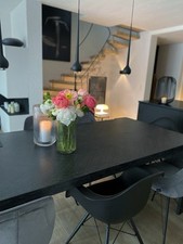Esstisch 230x100 marke gebraucht kaufen  Dortmund