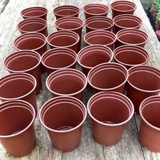 9cm plant pots for sale  KILMARNOCK