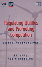 Regulating Utilities and Promoting Competition: Lessons for the Future by Robin comprar usado  Enviando para Brazil