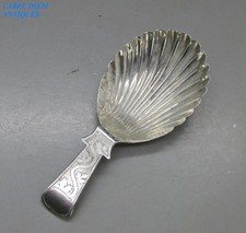 shell spoon for sale shell spoon for sale TORQUAY