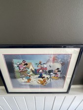 Team disney cel for sale  Lake in the Hills