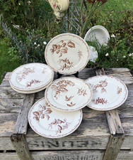 Assiettes plates creil d'occasion Assiettes plates creil d'occasion  Villeneuve-la-Guyard